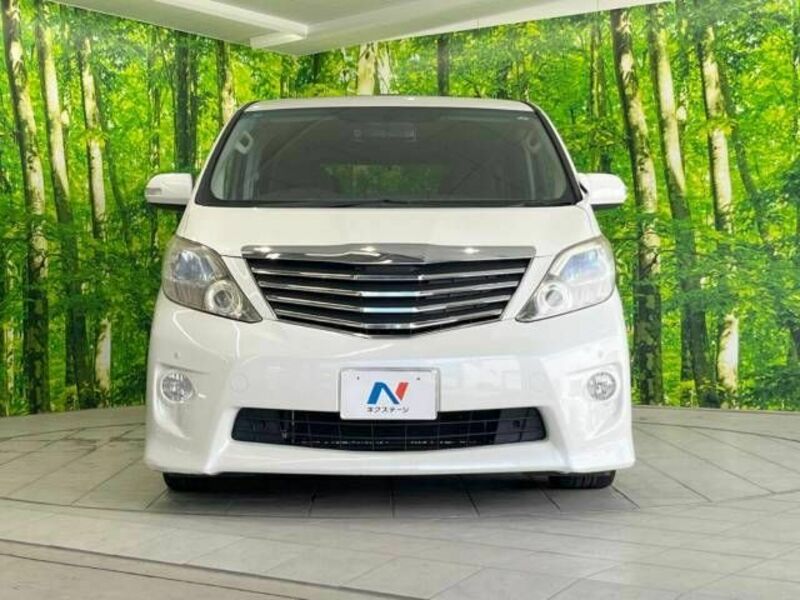 ALPHARD-15