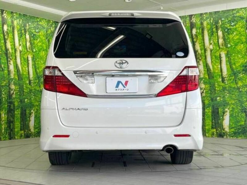 ALPHARD-16