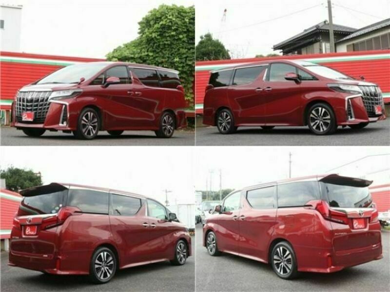 ALPHARD-3