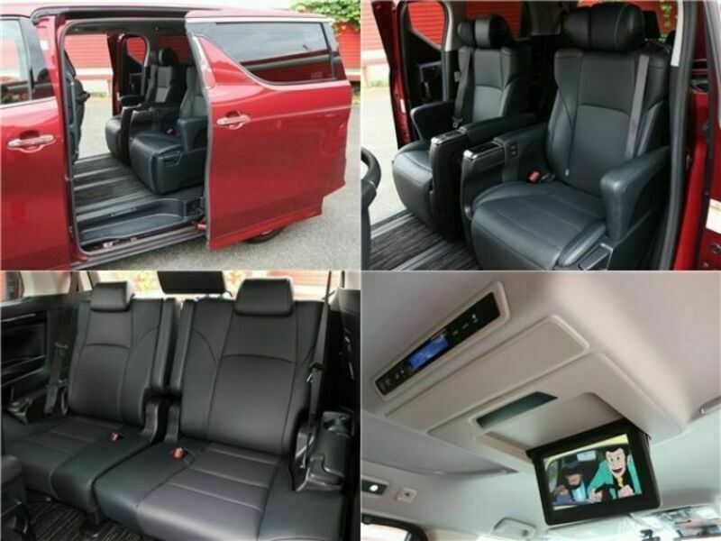 ALPHARD-8