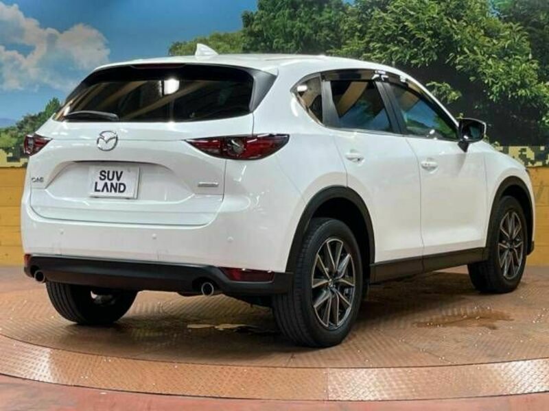 CX-5-17