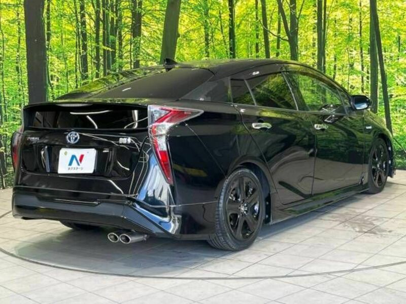 PRIUS-17