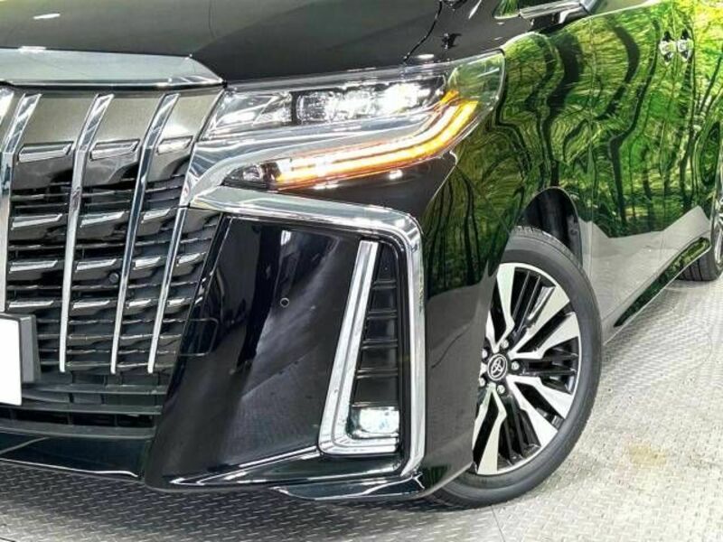 ALPHARD-13