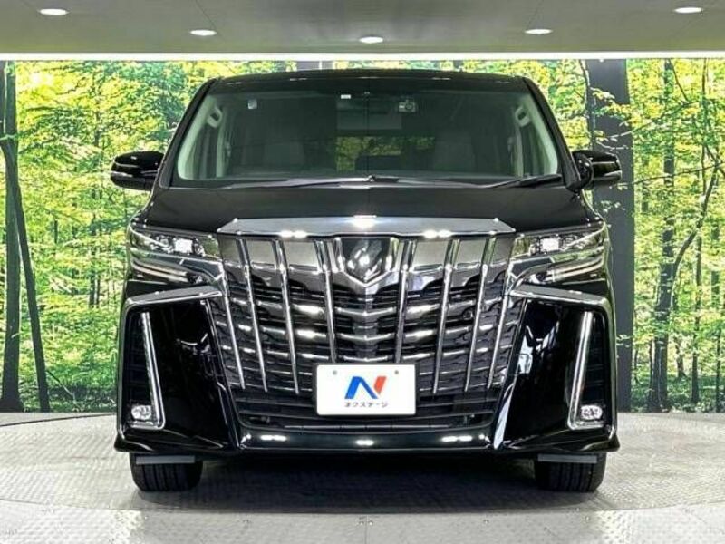 ALPHARD-15