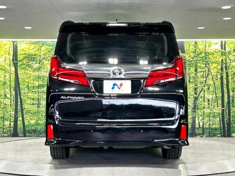 ALPHARD-16