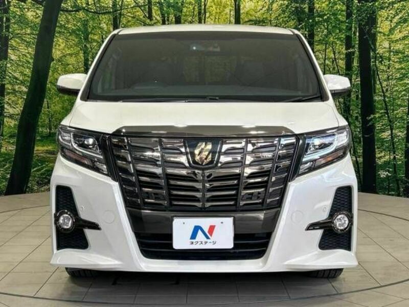 ALPHARD-14