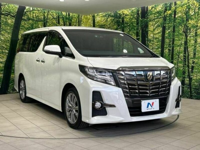 ALPHARD-16