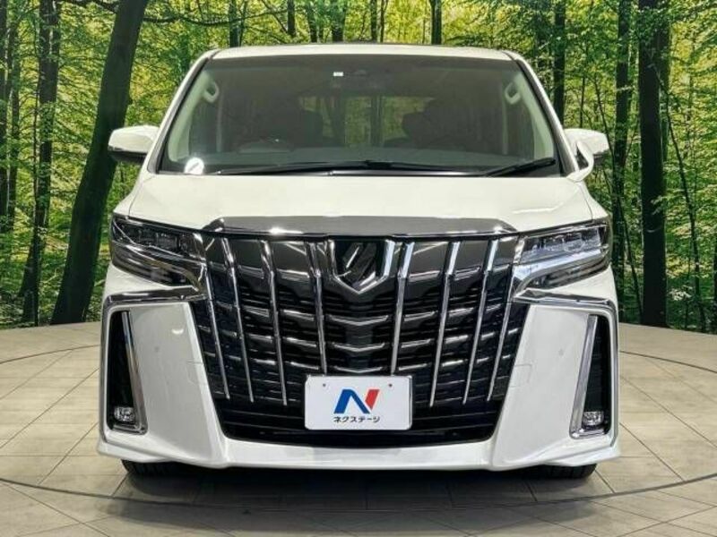 ALPHARD-14