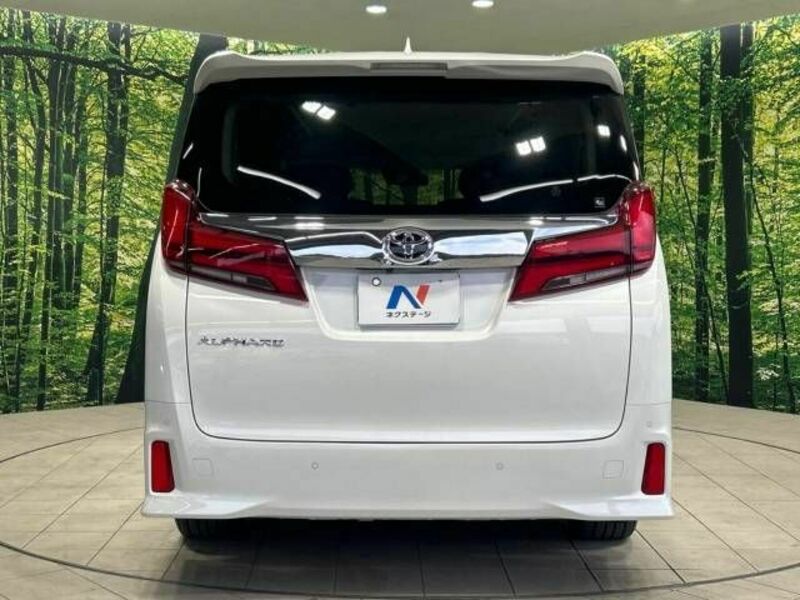 ALPHARD-15