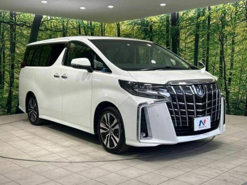 ALPHARD-16