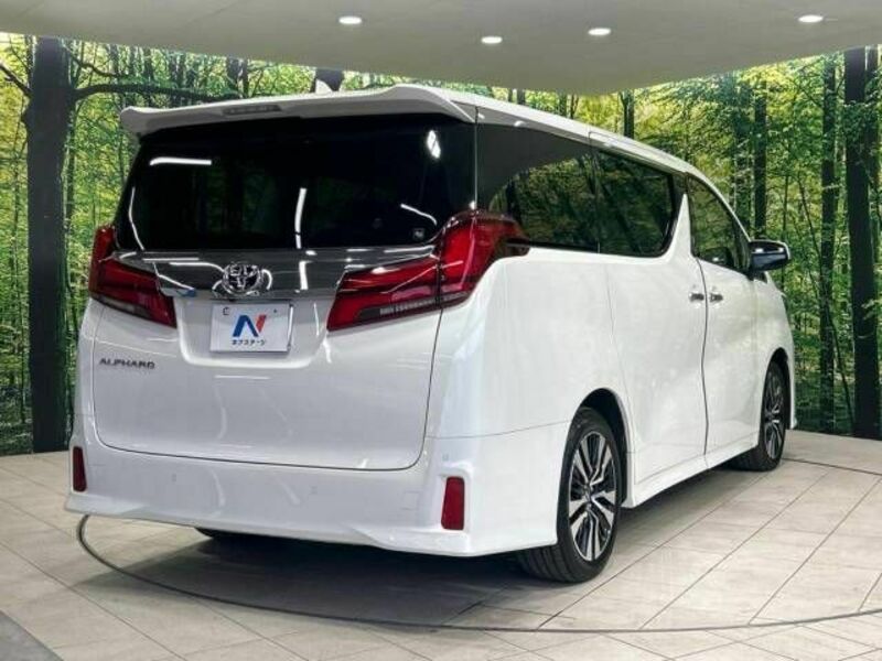 ALPHARD-17