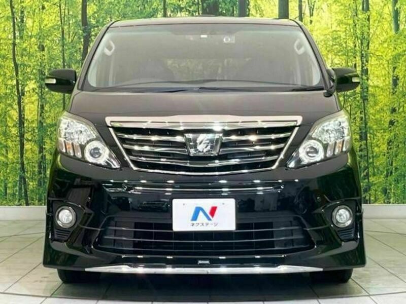 ALPHARD-15