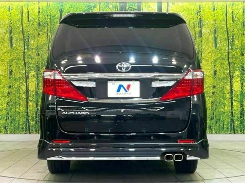 ALPHARD-16