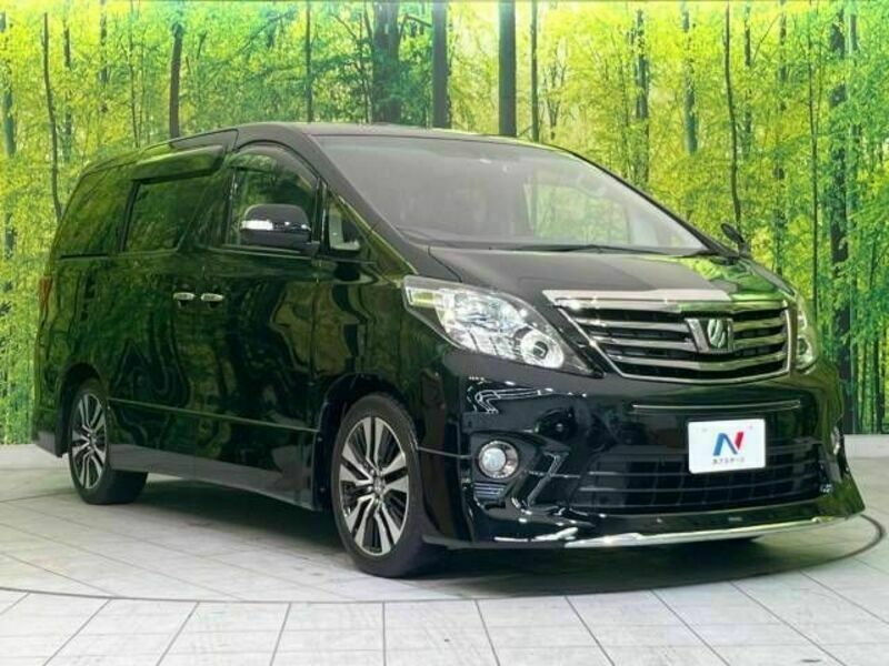 ALPHARD-17