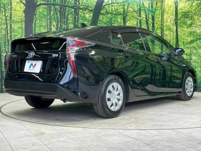 PRIUS-17