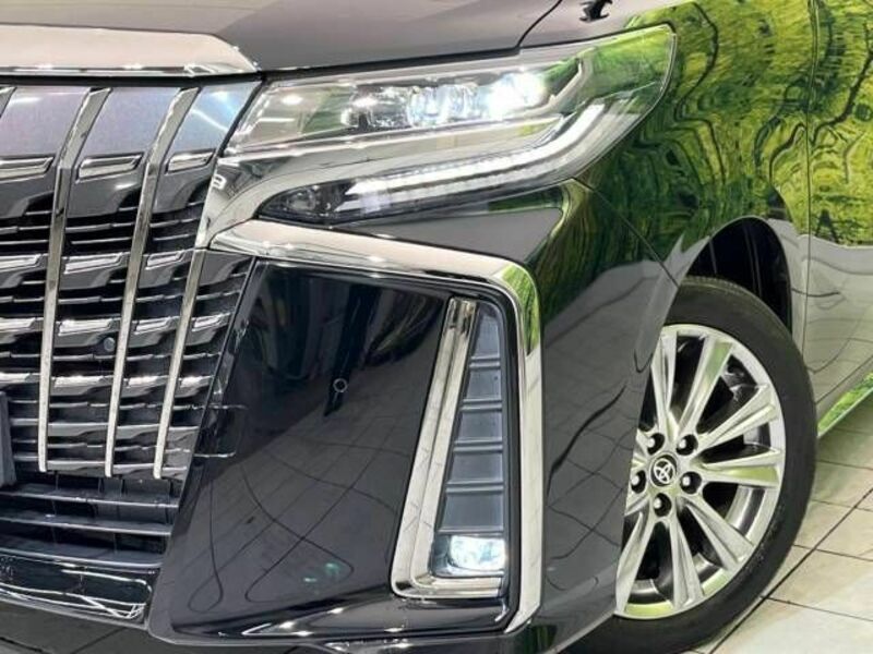 ALPHARD-13