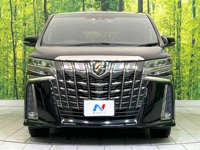 ALPHARD-15