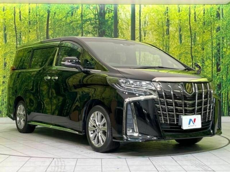 ALPHARD-17