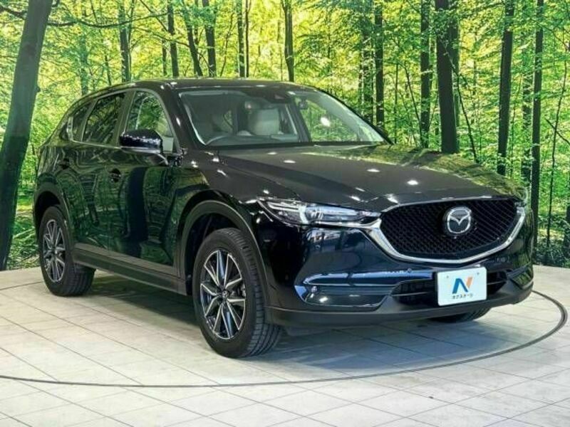 CX-5-16