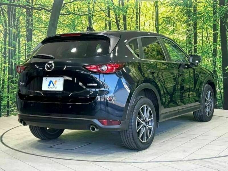 CX-5-17