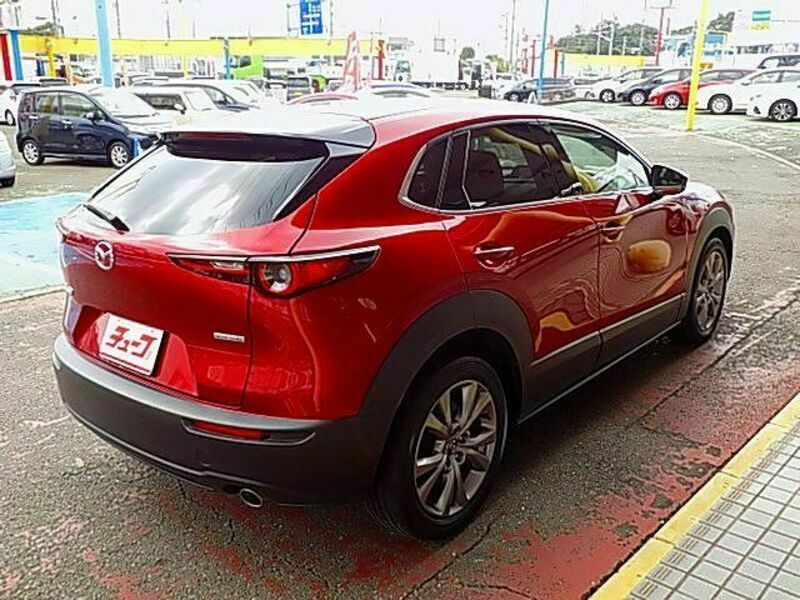 CX-30-2