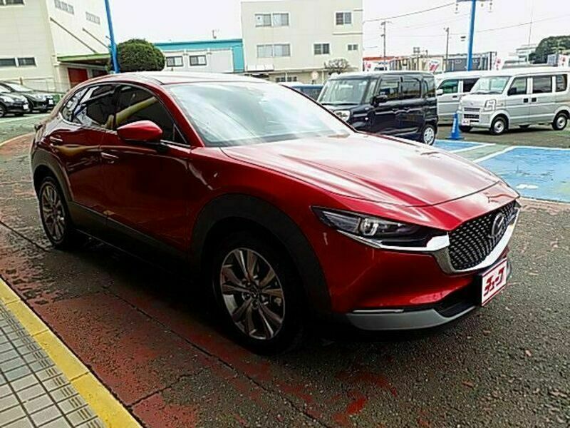 CX-30-6