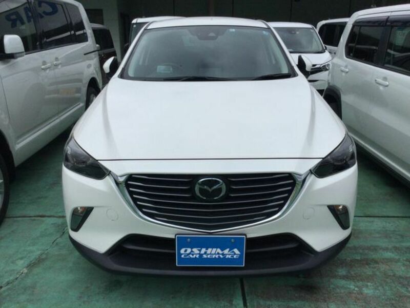 CX-3-1