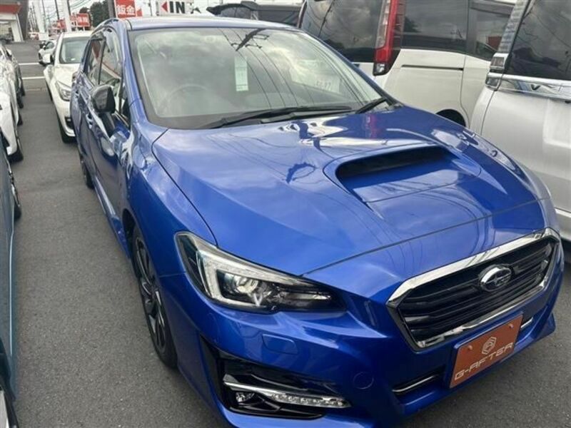 LEVORG