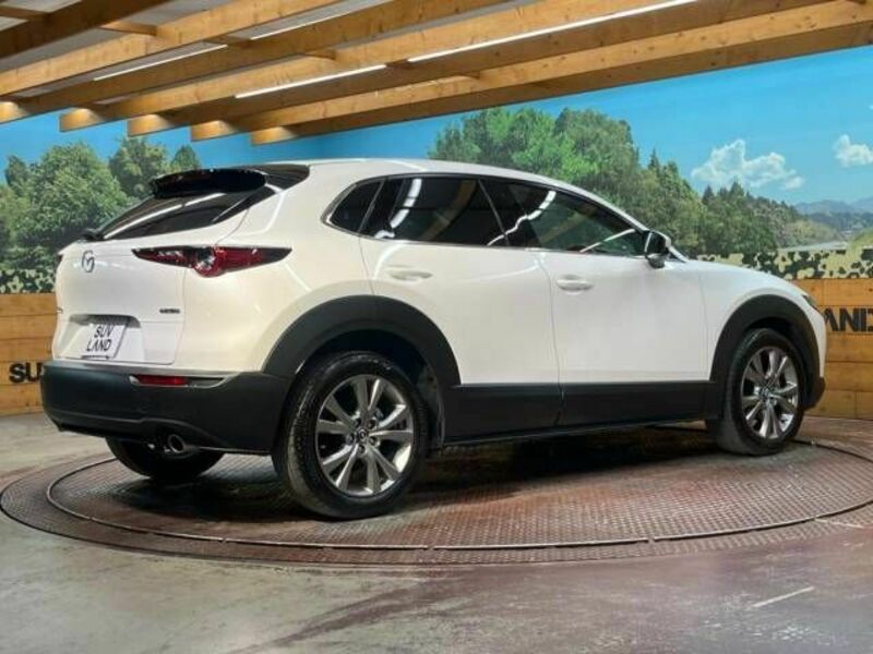 CX-30-17