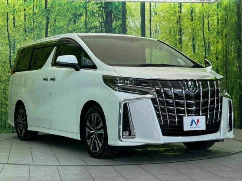 ALPHARD-17