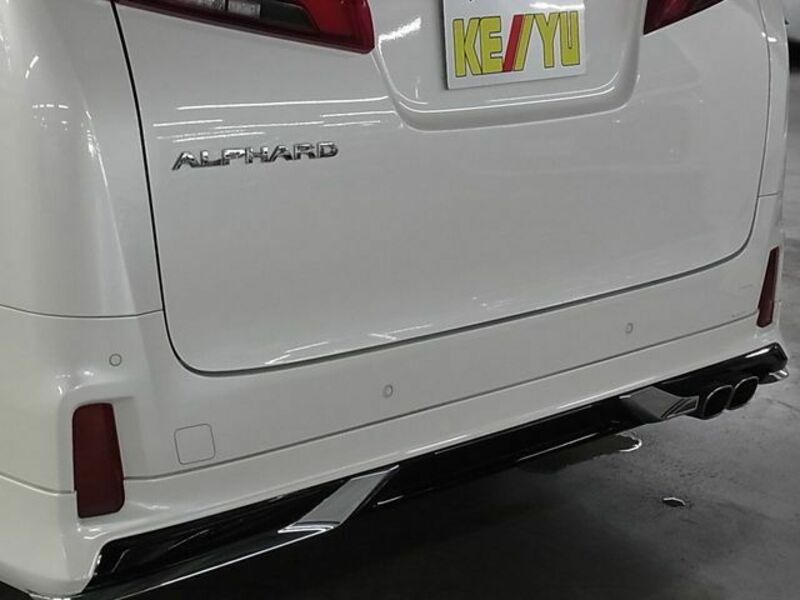 ALPHARD-27