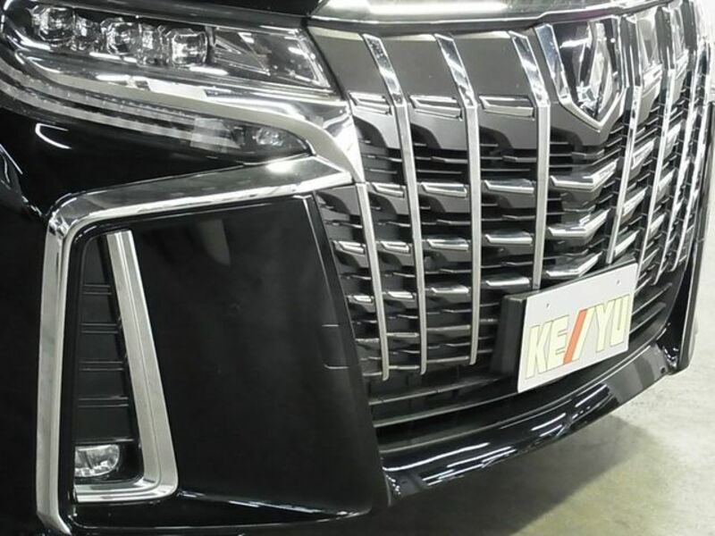 ALPHARD-28