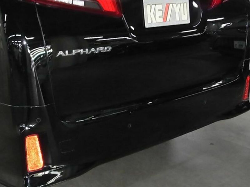 ALPHARD-29