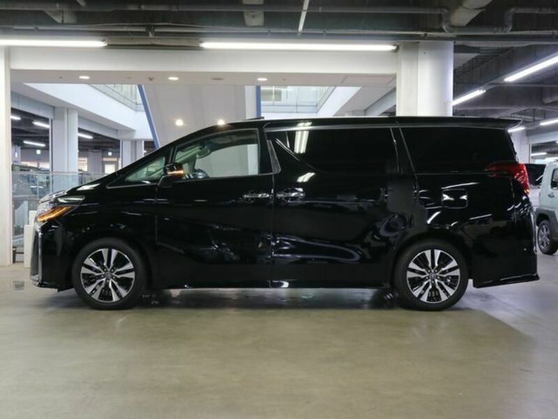 ALPHARD-8