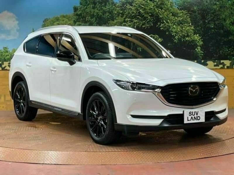 CX-8-17