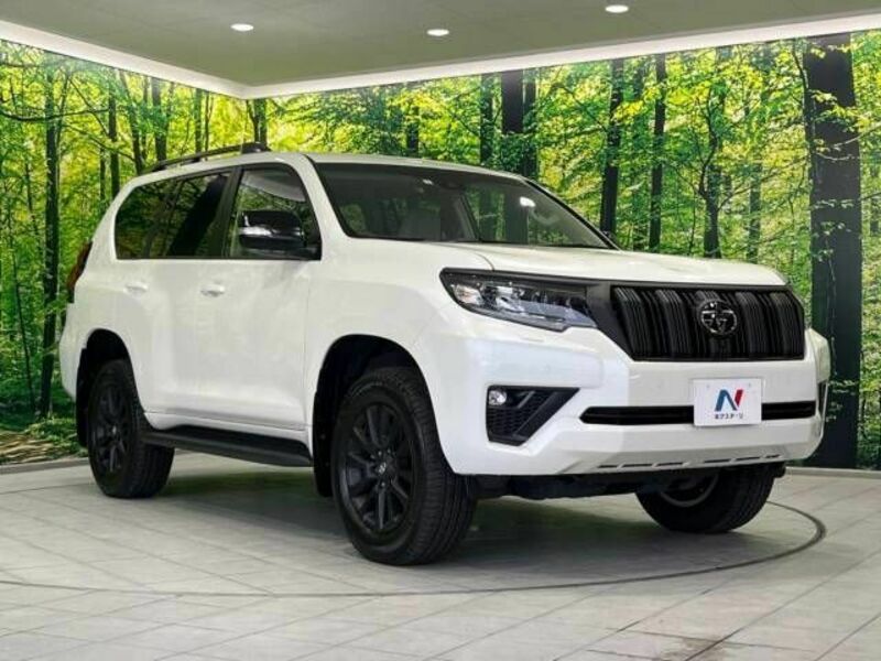 LAND CRUISER PRADO-17