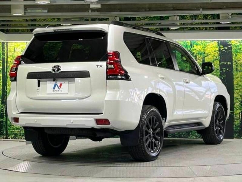 LAND CRUISER PRADO-18