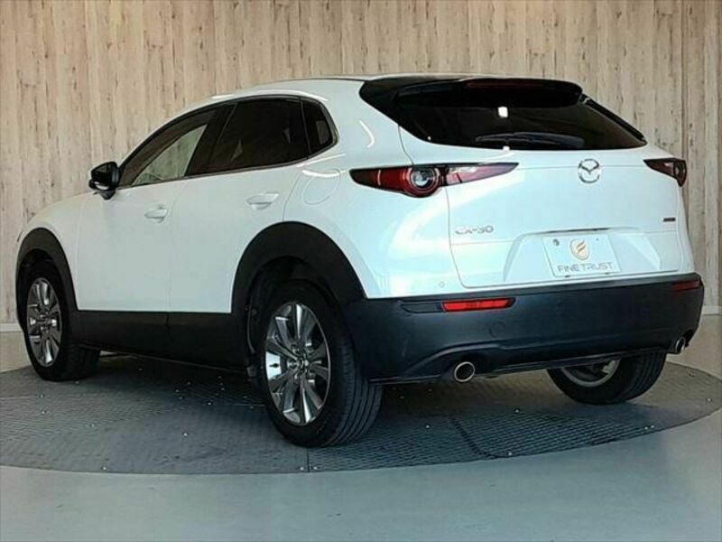 CX-30-19