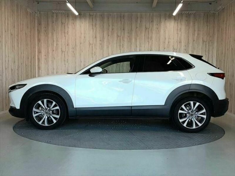 CX-30-20