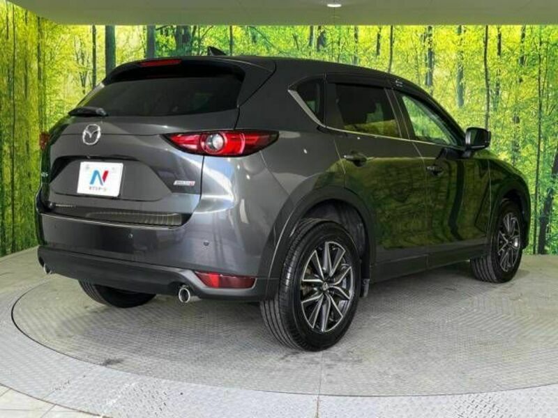 CX-5-17