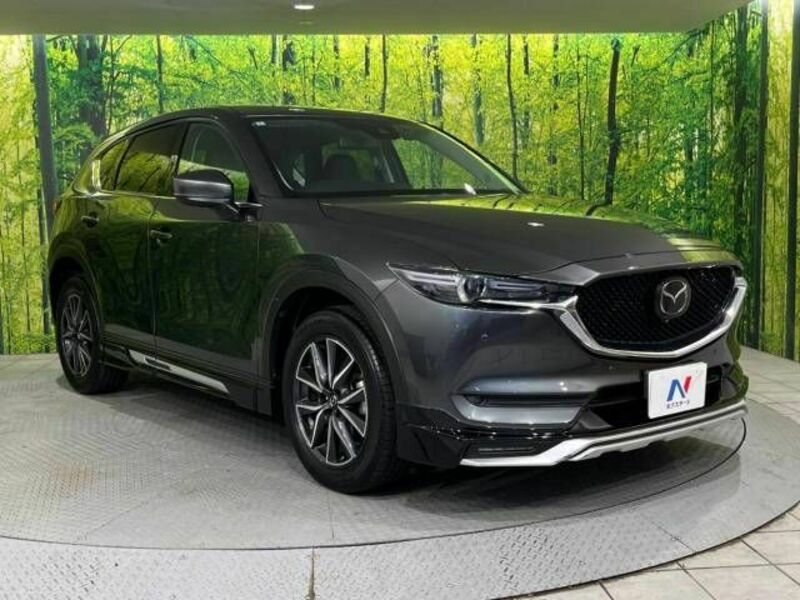 CX-5-16