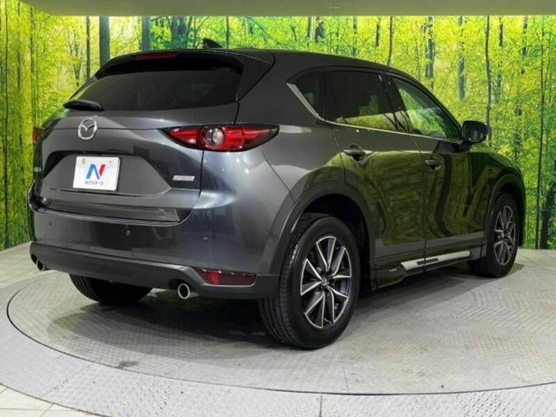 CX-5-17