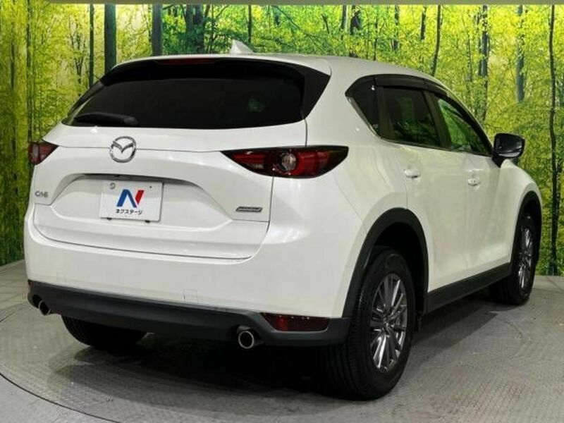 CX-5-17