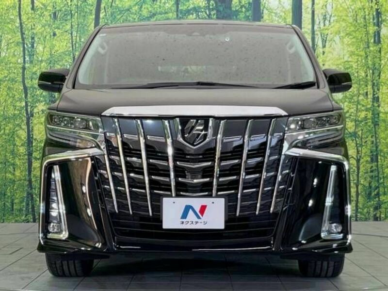 ALPHARD-15