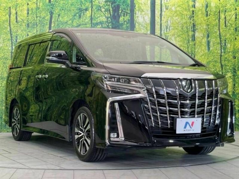 ALPHARD-17