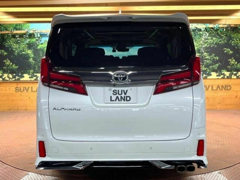 ALPHARD-18