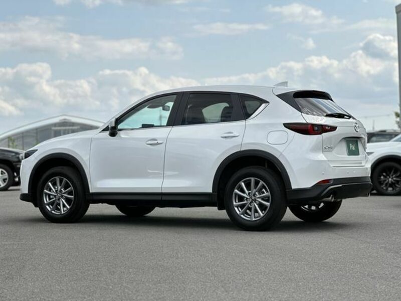 CX-5-29