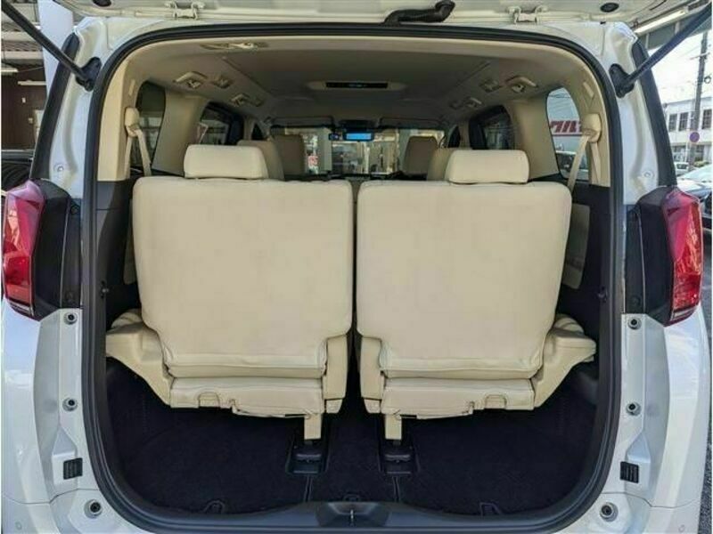 ALPHARD-10