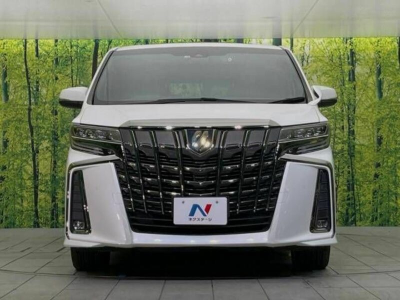 ALPHARD-14