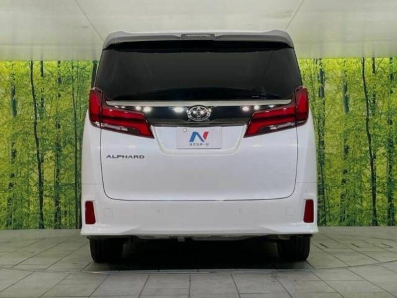 ALPHARD-15